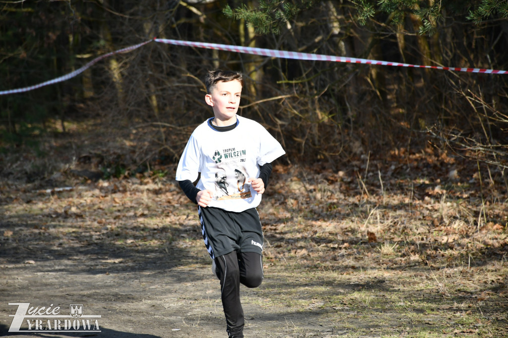 Bieg Tropem Wilczym w Żyrardowie