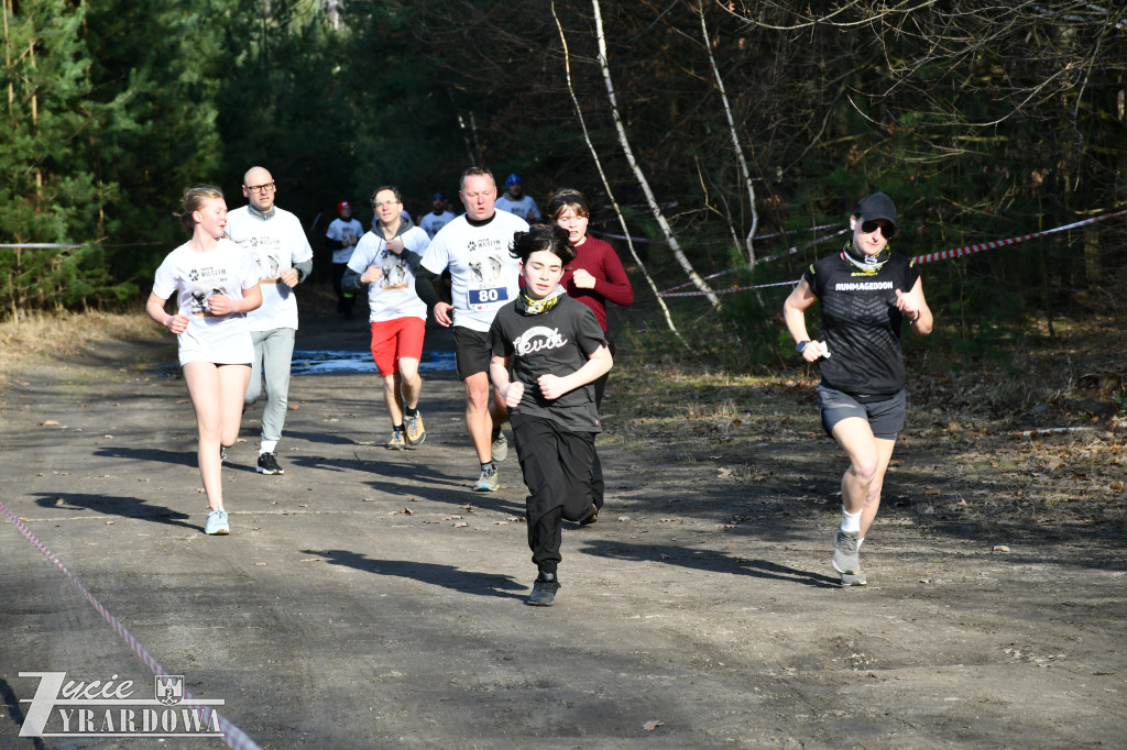 Bieg Tropem Wilczym w Żyrardowie