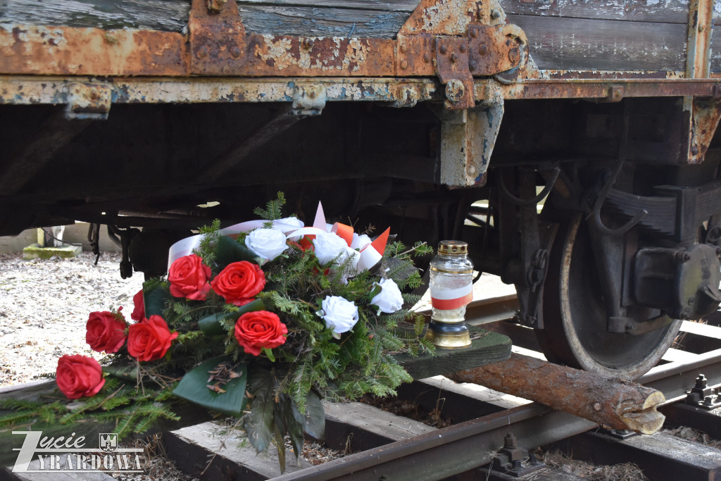 Patriotyczna lekcja – o drodze do wolnej Polski