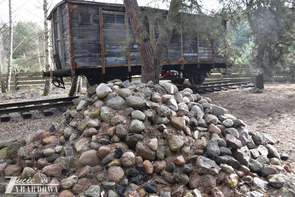 Patriotyczna lekcja – o drodze do wolnej Polski