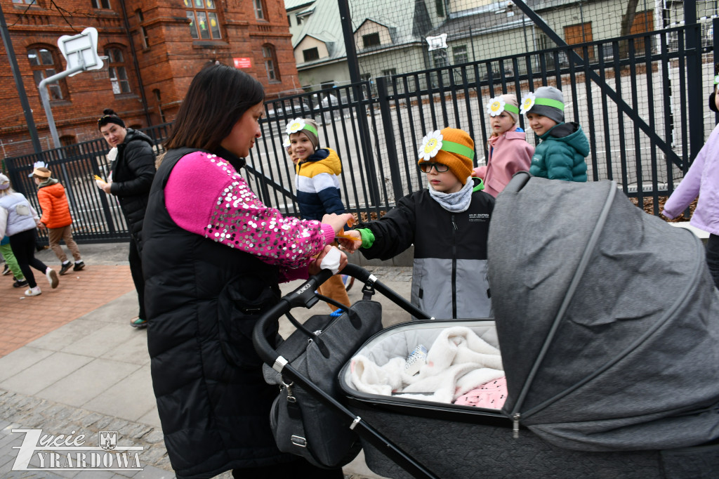 Wiosenna radość na ulicach miasta