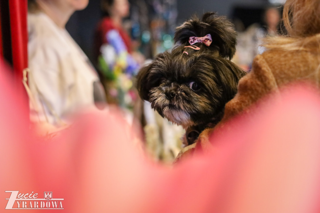 Kiermasz Wielkanocny w Centrum Kultury