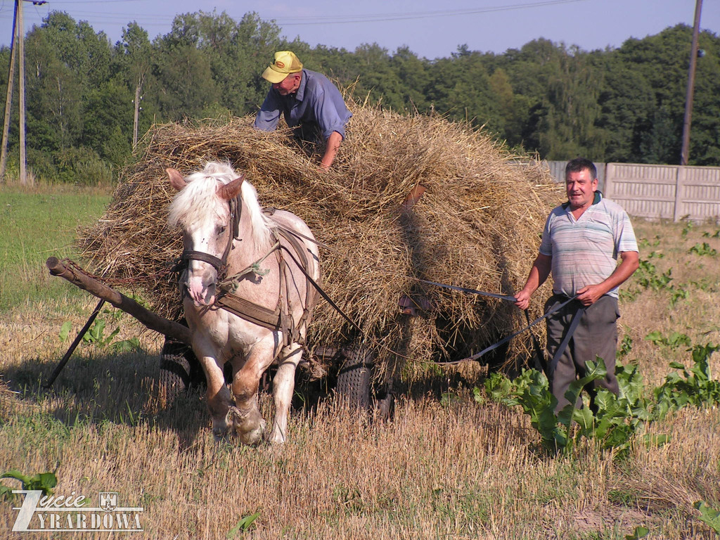 Wrócić pamięcią… z archiwum „ŻŻ”