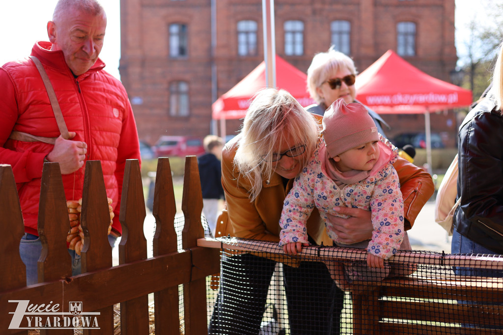 Wielka Sobota w Żyrardowie