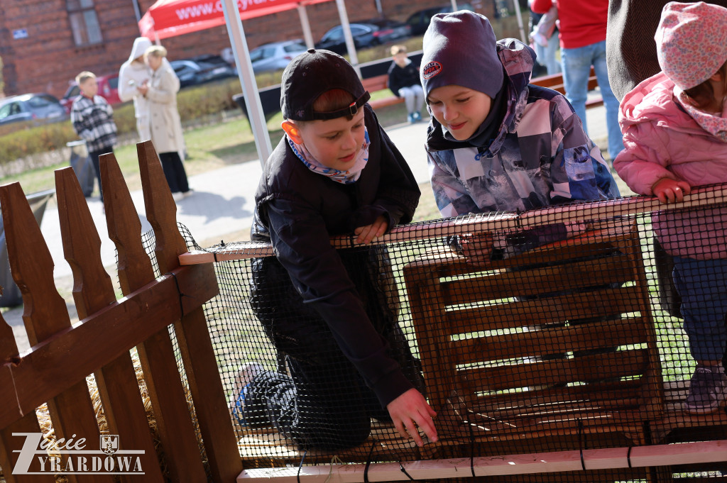 Wielka Sobota w Żyrardowie