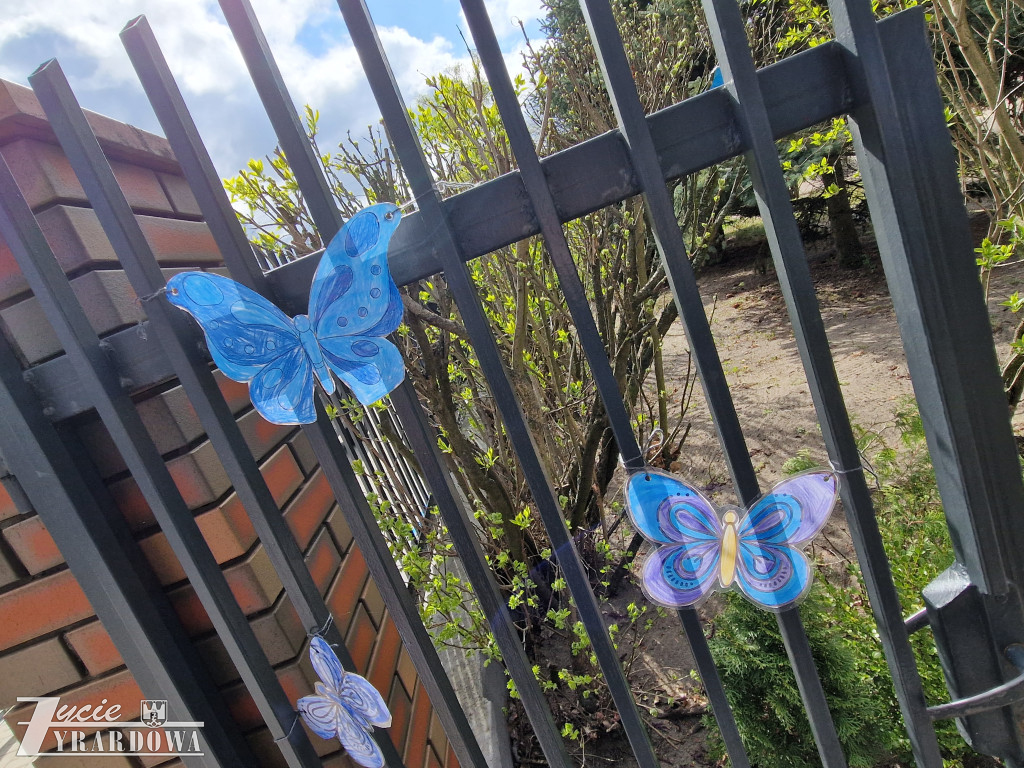 MP10 – niebieski marsz z balonami