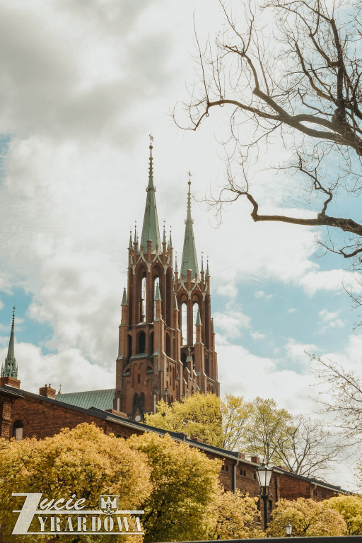 Wiosenny spacer po Żyrardowie