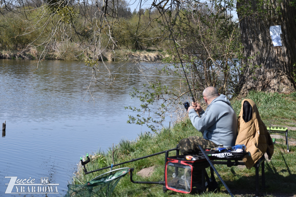 Złowione ryby wróciły do wody „Hamerni”