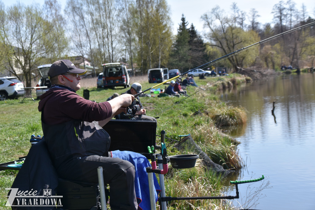Złowione ryby wróciły do wody „Hamerni”
