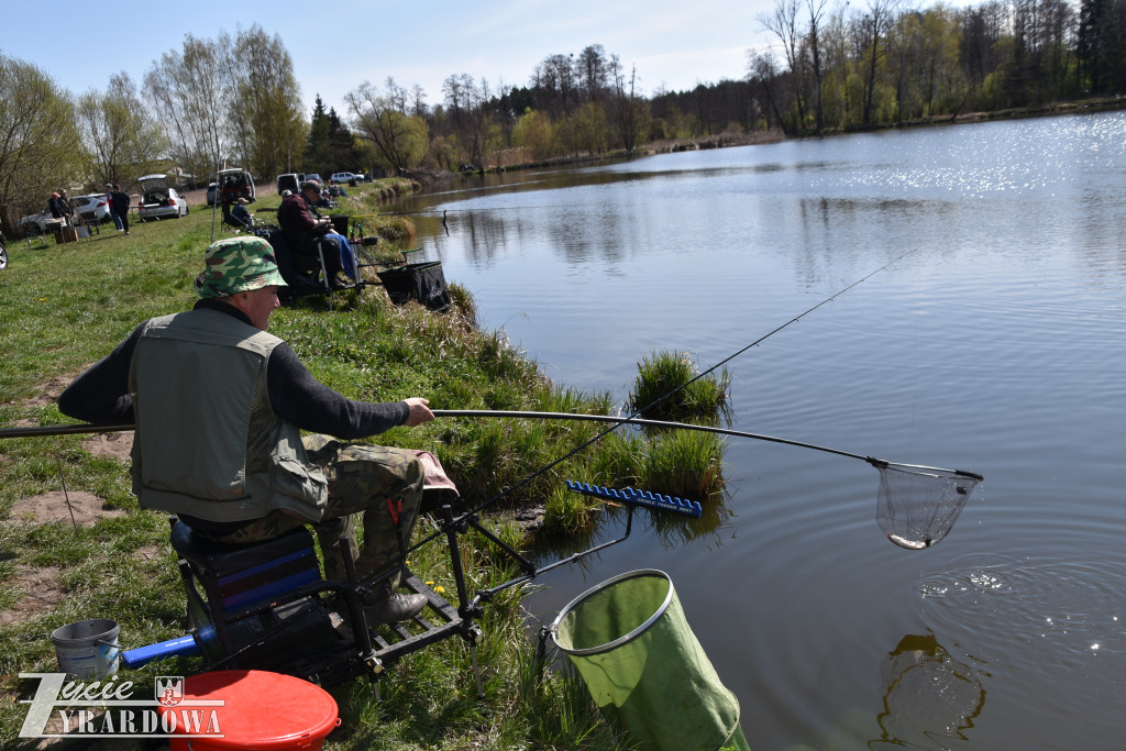 Złowione ryby wróciły do wody „Hamerni”