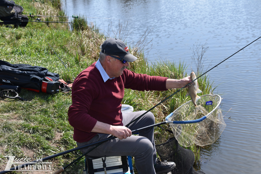 Złowione ryby wróciły do wody „Hamerni”