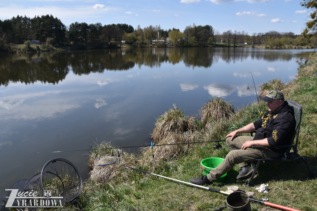 Złowione ryby wróciły do wody „Hamerni”