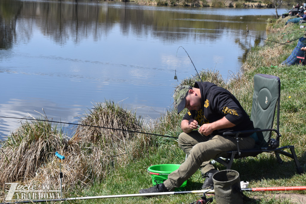 Złowione ryby wróciły do wody „Hamerni”