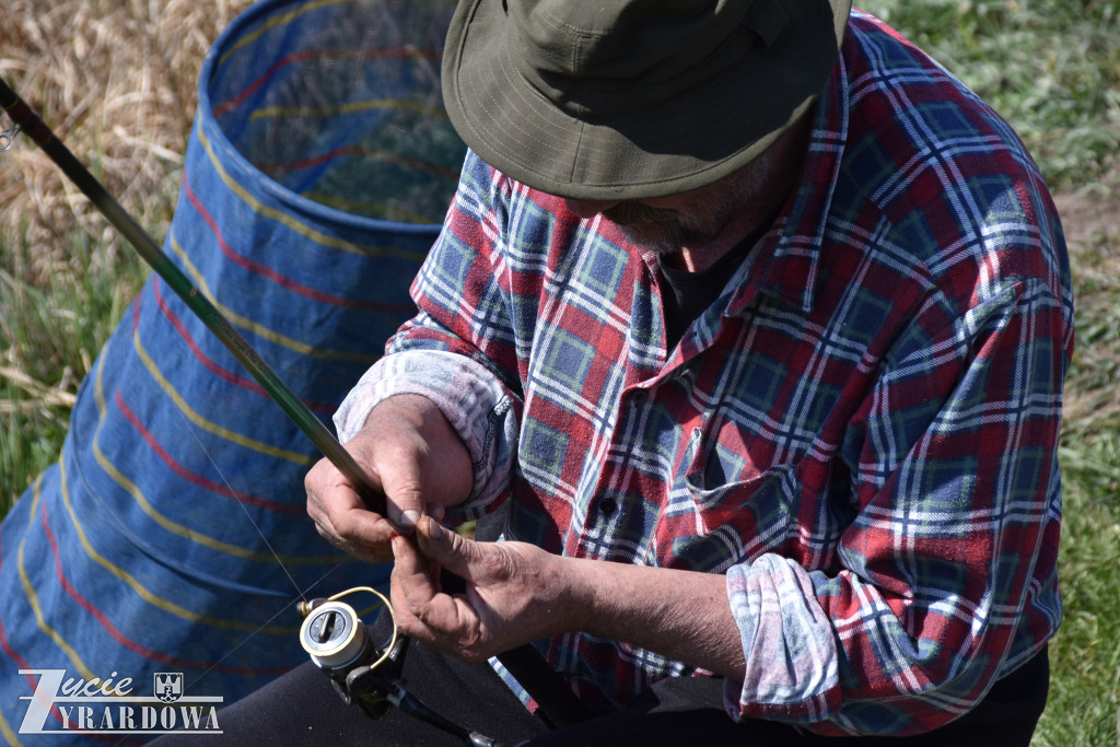 Złowione ryby wróciły do wody „Hamerni”
