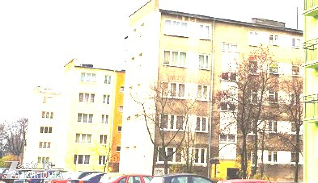 Do takich sąsiadów… trzeba się przyzwyczajać