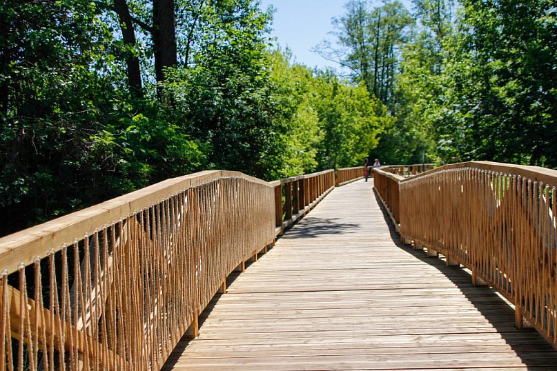 Drewniana kładka oficjalnie otwarta