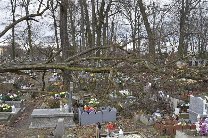 Cmentarz po tajfunie - wciąż drzewa na grobach