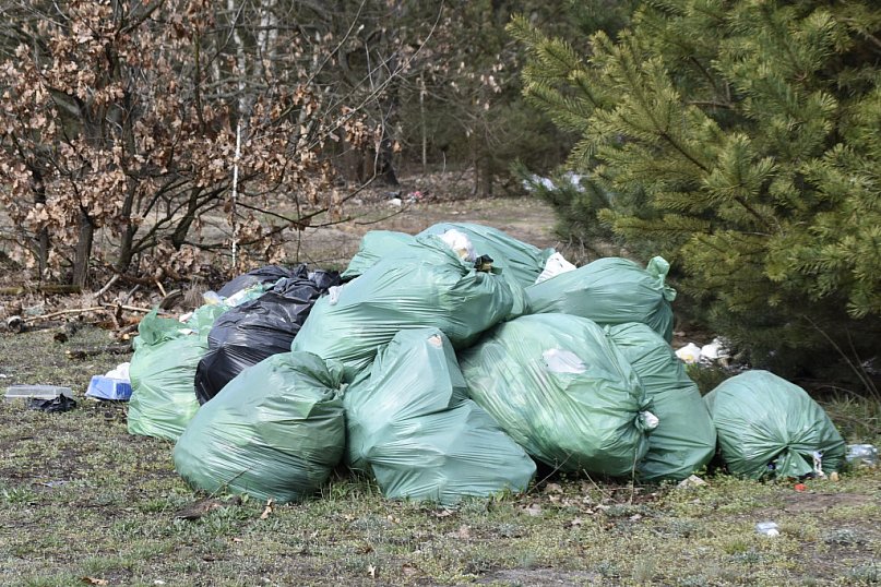 Wiosna na Pustynnej – znowu wysypisko śmieci