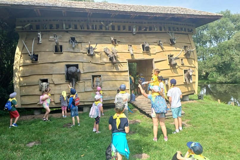 Harce dzikie, co napisały przyjaźni kronikę