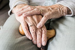Nowa stawka najniższej emerytury. Rząd ujawnił kwotę-44560
