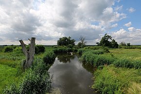 Co dalej z nowym parkiem narodowym? Minister klimatu zdradza plan po wecie-46035