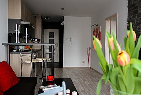 Rewolucja w wynajmie na doby. Nadchodzi koniec "wolnej amerykanki"-46283