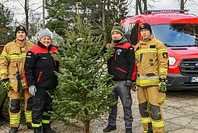 Choinki od strażaków z OSP Żyrardów-46392