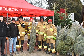 Można kupić - „Choinkę od Strażaka”-46386