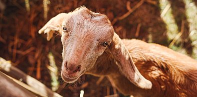 Wielka Sobota w Żyrardowie