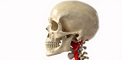 Fizjoterapia szczęki — ból głowy a staw skroniowo-żuchwowy