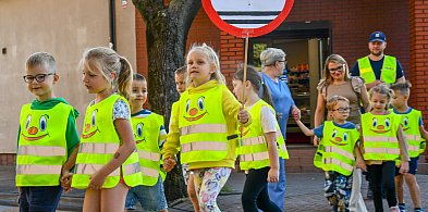 Kierowco! Nie polujemy na zebrach!-45424
