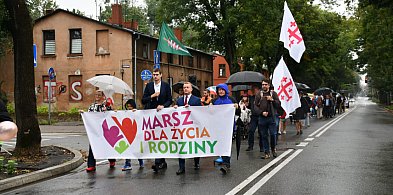 Marsz dla Życia i Rodziny w Żyrardowie-45442