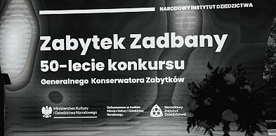 Żyrardów gospodarzem gali „Zabytek Zadbany”-45590
