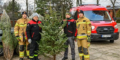 Choinki od strażaków z OSP Żyrardów-46392