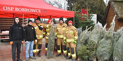 Można kupić - „Choinkę od Strażaka”-46386