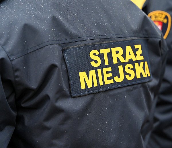 Zapuka strażnik, zapłacisz karę. Ruszyły kontrole w całej Polsce-45723