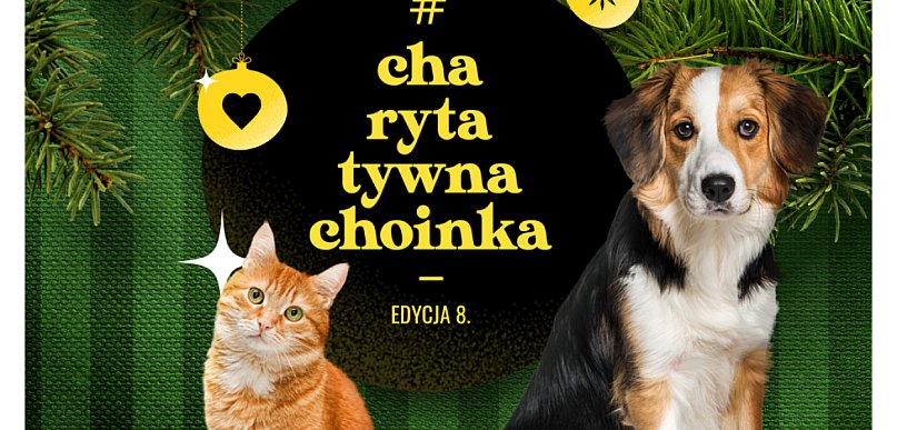 #CharytatywnaChoinka od Karmimy Psiaki