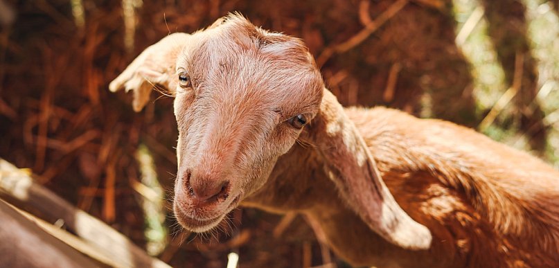 Wielka Sobota w Żyrardowie