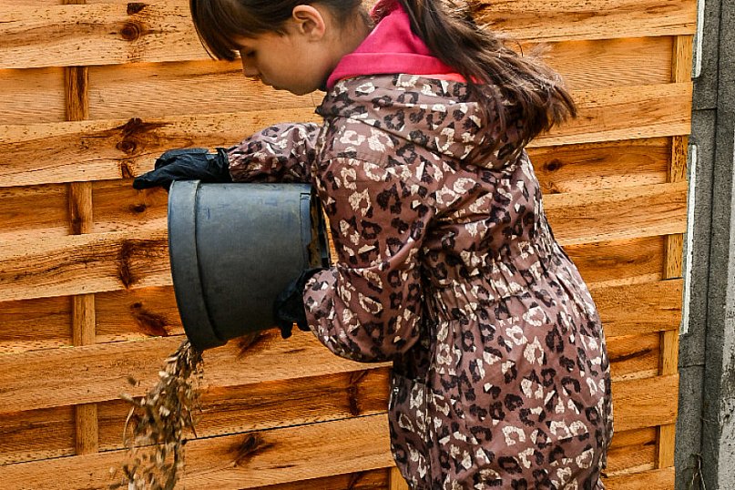 Zielone Podwórko na Kamiennej