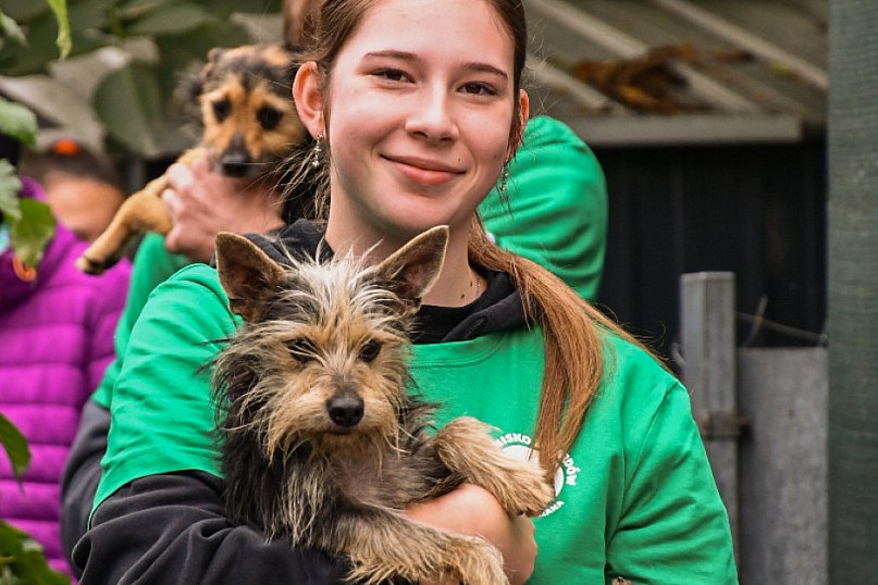 Dzień otwarty w Schronisku