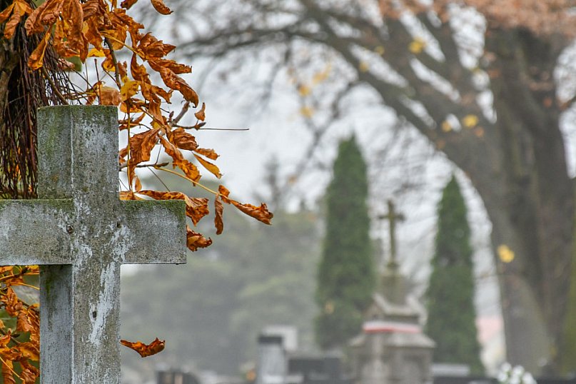 Zaduszkowy spacer po żyrardowskim cmentarzu