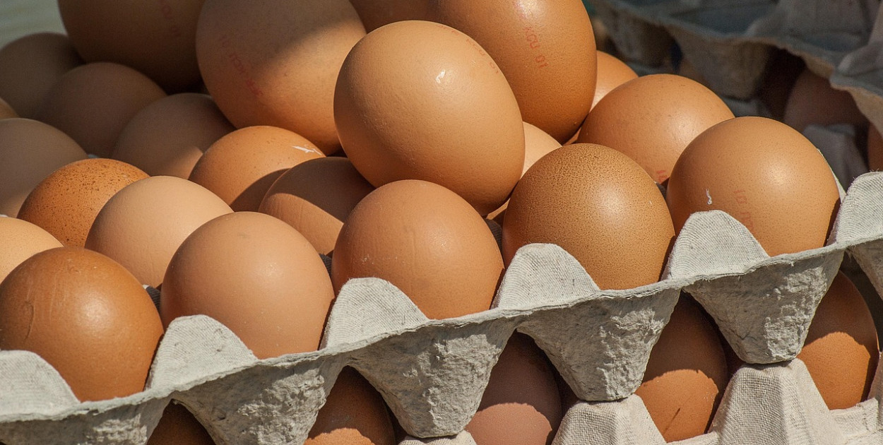 Salmonella wykryta w jajach! GIS wydał pilne ostrzeżenie