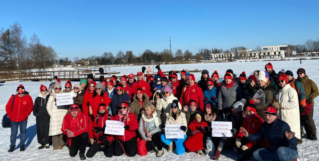 Gorące serca morsów w lodowatej wodzie