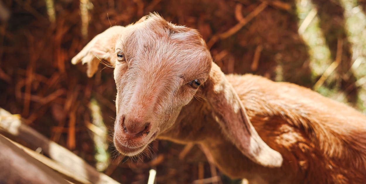 Wielka Sobota w Żyrardowie